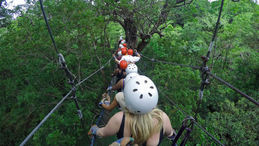 Group of people walking through the treetops