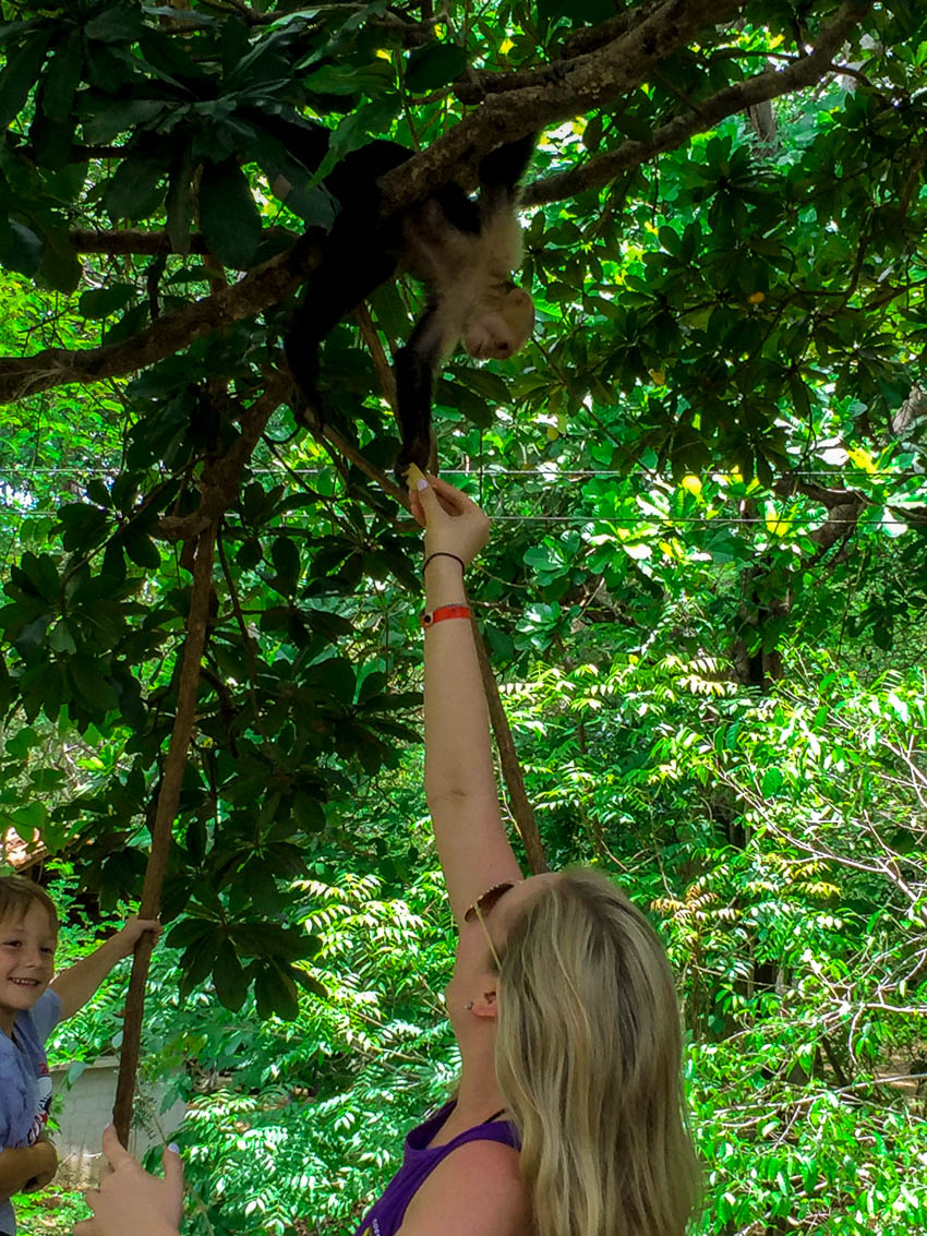 Girl feeding a monkey at the sanctuary at Congo Canopy