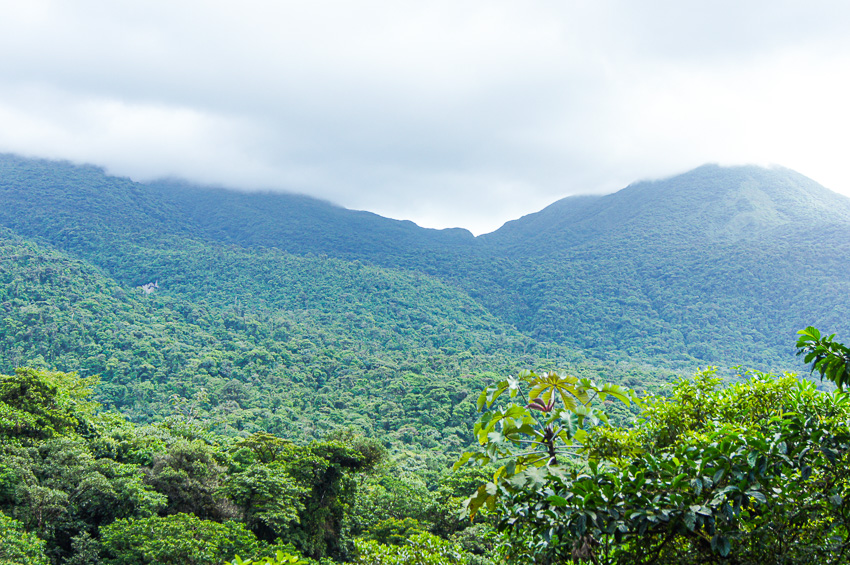 View from Rio Celeste Hike lookout