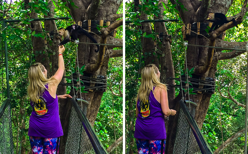 Madison feeding a monkey