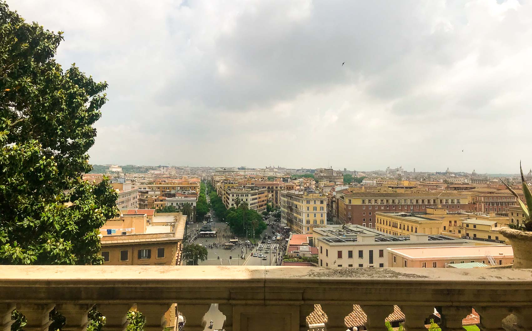 View from Vatican Museum