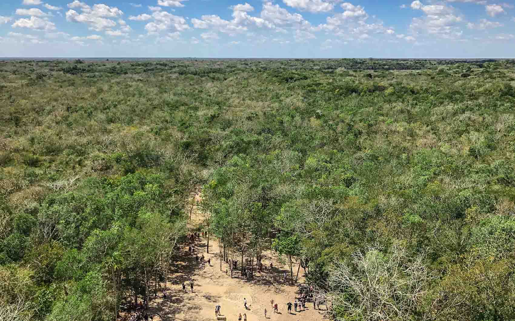 View of Coba from the top of the pyramid